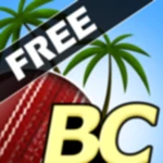 beach cricket android application logo